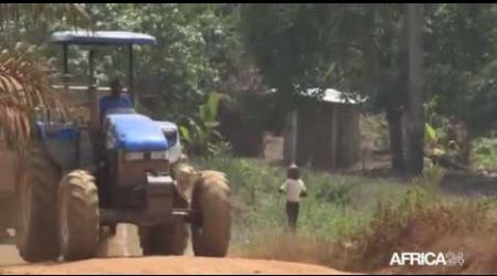 Libéria, COVID-19 : 10,5 MILLIONS USD EN SOUTIEN AU SECTEUR AGRICOLE